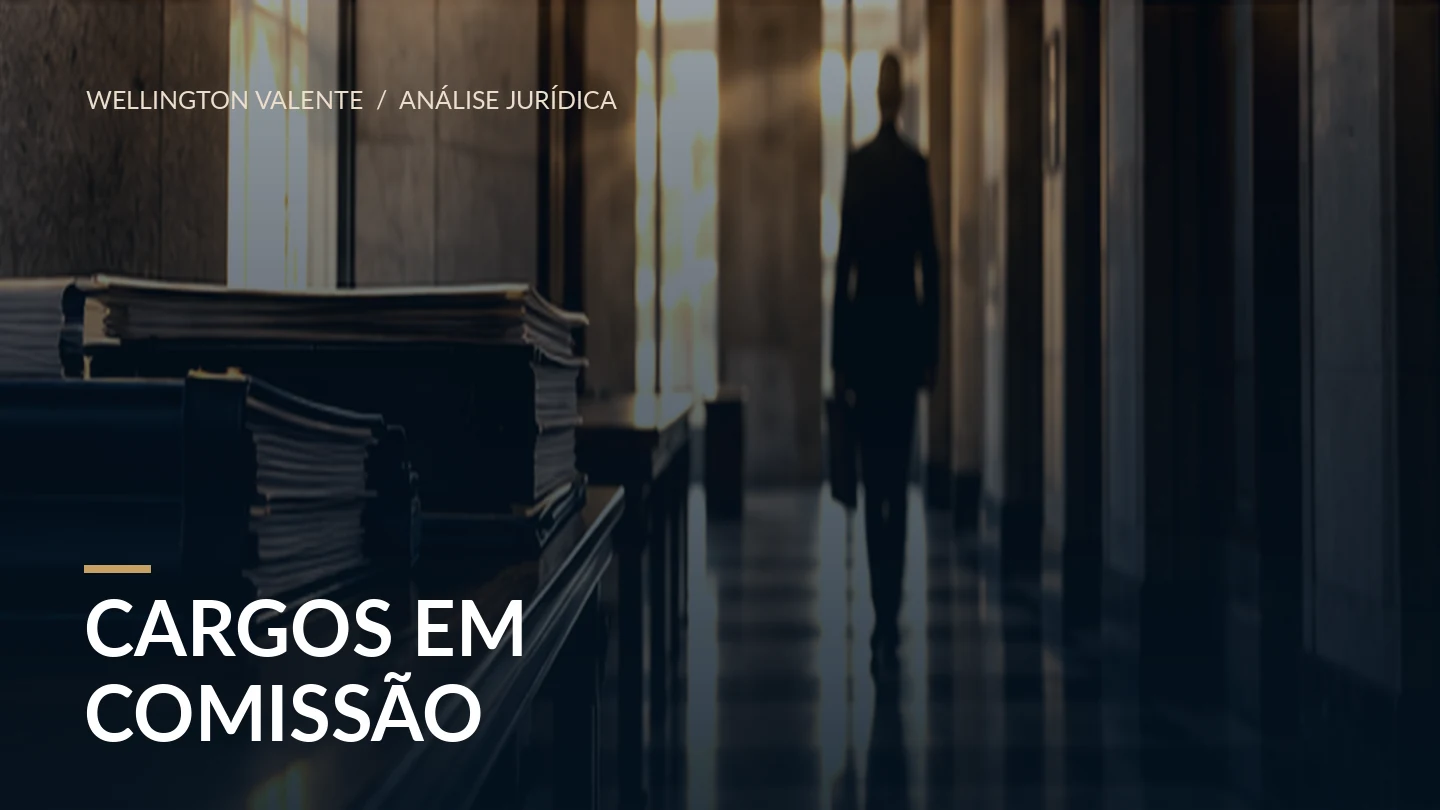 Leia mais sobre o artigo Servidores comissionados: solução administrativa ou risco de gestão?